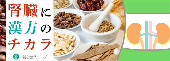 誠心堂薬局、慢性腎臓病に対する無料のオンライン漢方相談開始　「漢方の役割」をホームページに公開しました