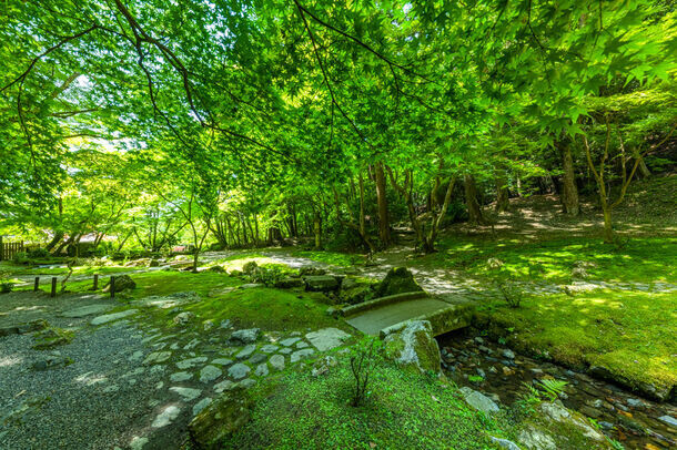 青もみじが美しい世界文化遺産　総本山醍醐寺のクールスポット　フレンチの朝食と庭園の早朝拝観やクールなイベントを開催