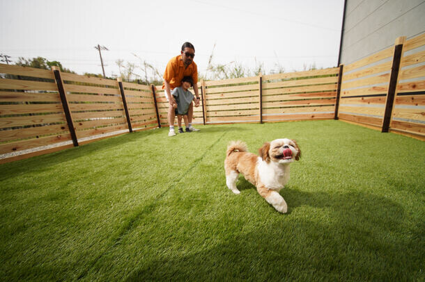 淡路島に小型犬と泊まれるサウナ付き貸別荘が2024年6月誕生！宿泊料を50％OFFにするオープン記念キャンペーンを開催