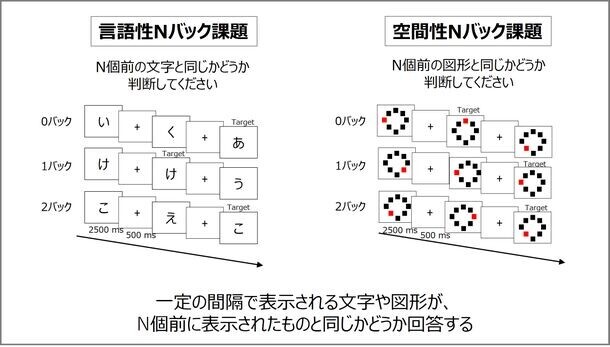 持久力の高い高齢者は作業記憶も優れる：新たな脳内メカニズムを解明