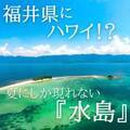 福井県の無人島「水島」へのフェリー運航が7月13日開始　7～8月しか渡ることのできない“海の楽園・北陸のハワイ”