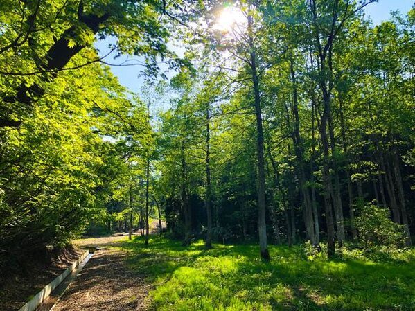 米どころ新潟で“幻の米”と呼ばれる『両善寺米』の田植え体験イベントを6月2日(日)に開催！
