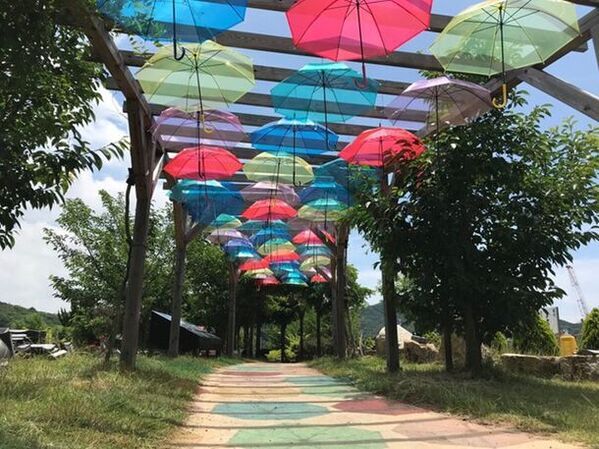 道の駅福良をカラフルに彩る「傘の街道」アンブレラスカイ2024開催　～梅雨空に咲く、虹色の花束～