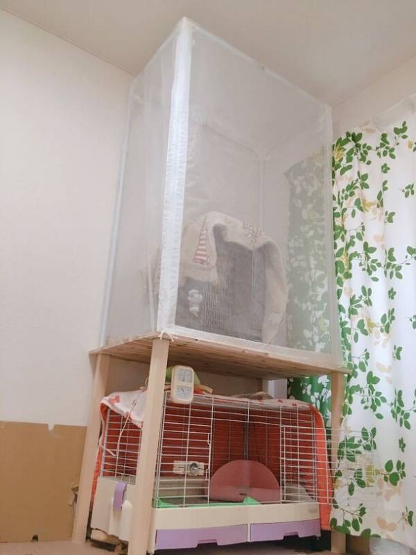 《新しい虫避け対策》国内蚊帳生産No.1の「蚊帳通販.com」が高品質のオーダーメイド蚊帳製作に対応！