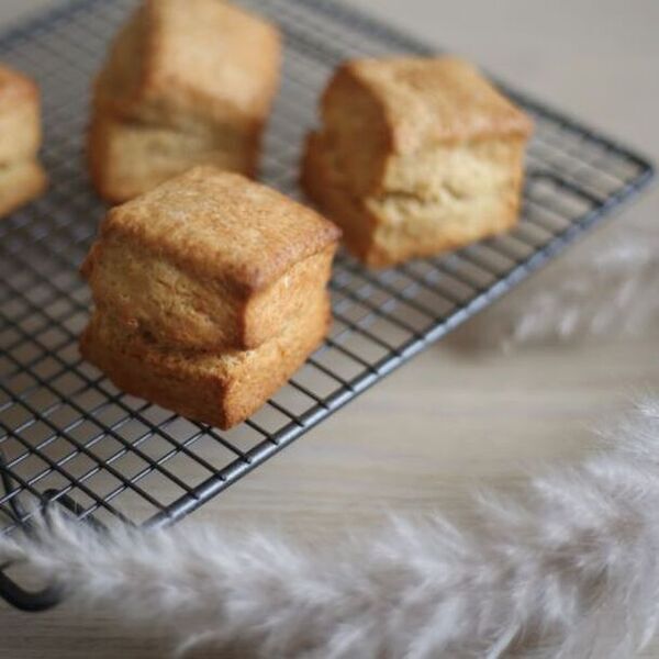 小麦粉・米粉・きな粉など「粉もの」グルメが45店舗集結　『ヌン活』で注目の「スコーン」も20種類以上！第3回「粉博」6月19日から開催