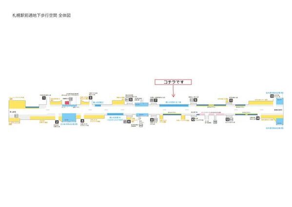くもん書写展、札幌駅前通「チ・カ・ホ」で6月22日・23日開催　全国の最優秀作品120点が集結！～入場無料～