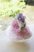 “花を食べる”新感覚スイーツ!「Souffle Cheesecake HANA」から期間限定で「花のかき氷」が登場
