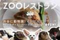 渋谷の動物園で動物を見ながら食事ができる「ZOOレストラン」6月8日にクラウドファンディングを開始