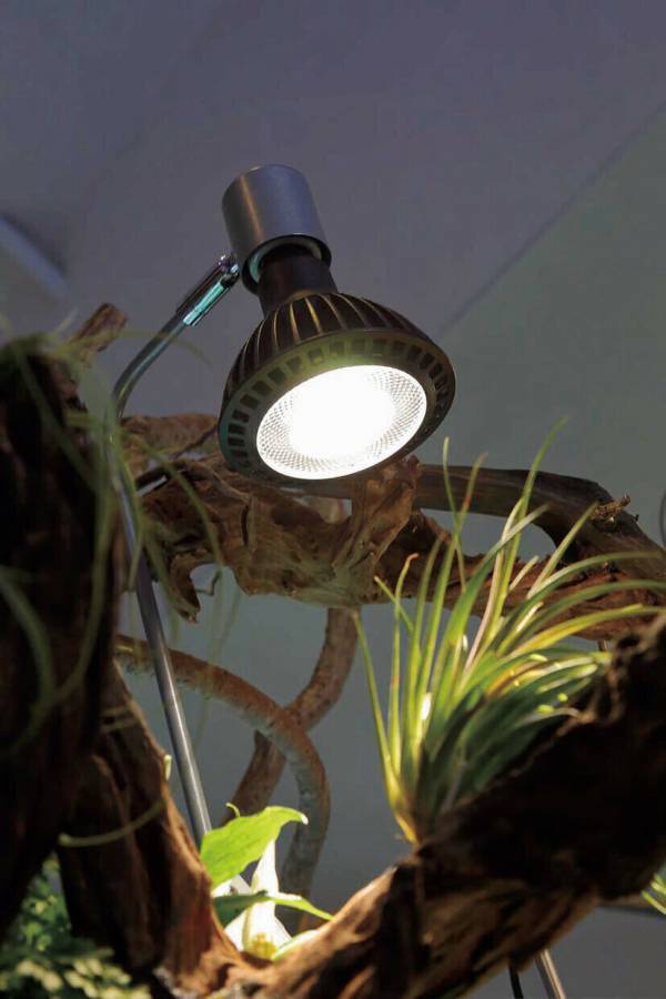 京セラのLED照明「CERAPHIC いきもの電球」登場