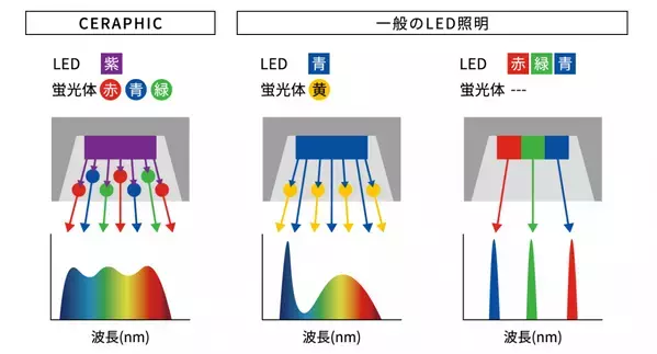 京セラのLED照明「CERAPHIC いきもの電球」登場