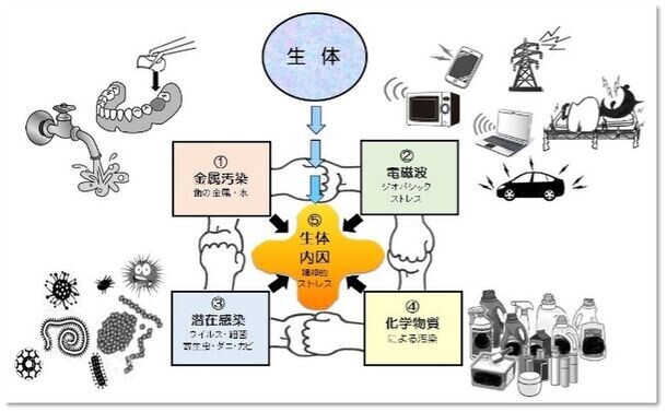 「医療と暮らし」を徹底的に考える6時間、全国大会を7月28日(日)にオンライン開催