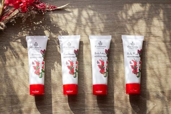 東京ベイ舞浜ホテル　光り輝く花束が導く、カラフルな花々と緑が織りなす心癒される空間「グローイングフラワールーム」宿泊プランを期間限定で販売