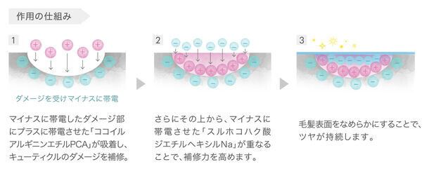 “芯まで満たす、美しさを纏う。”洗い流さないタイプのトリートメントの新製品「コタクチュール ベース」8月20日発売！