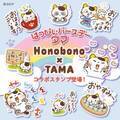 大人気イラストレーター「Honobono」×「タマ＆フレンズ」のコラボが実現！　6月28日(金)タマの誕生日にオリジナルLINEスタンプを発売！
