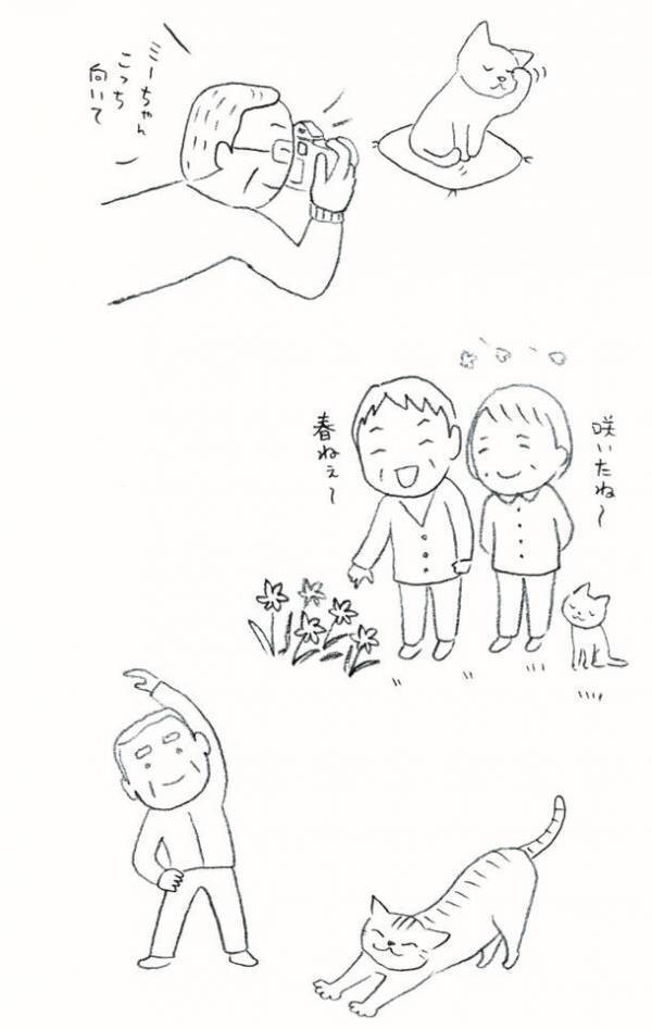 高齢期の親の生活と介護問題を“猫の習性”に例えて解説　介護がラクになる、新感覚の書籍が6月28日刊行