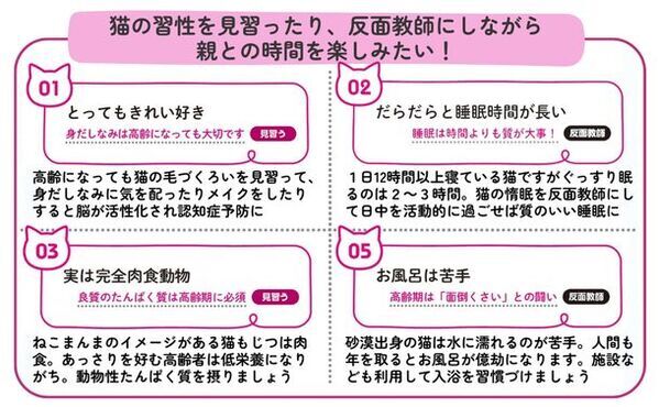 高齢期の親の生活と介護問題を“猫の習性”に例えて解説　介護がラクになる、新感覚の書籍が6月28日刊行