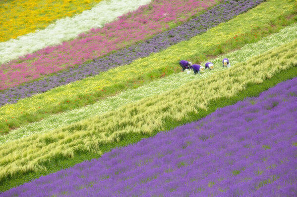 「第7回北海道撮影ポイントランキング年間グランプリ展」を開催　8月18日まで作品を募集・グランプリは賞金30万円！