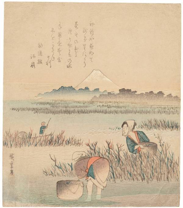 ひと味違う特注品の魅力！特別展「レスコヴィッチコレクションの摺物-パリから来た北斎・広重・北渓・岳亭-」を開催します