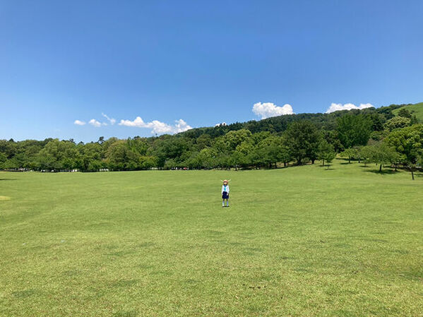 新作アニメPVの一気観番組「つづきみ」第32回　一気観タイトル・ゲスト出演タイトル発表！