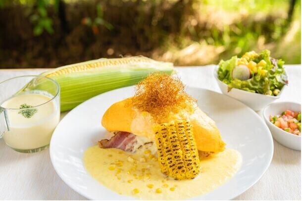 今が旬！食のテーマパーク 伊豆・村の駅でとうもろこし大収穫祭を開催