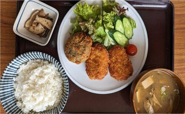 今が旬！食のテーマパーク 伊豆・村の駅でとうもろこし大収穫祭を開催