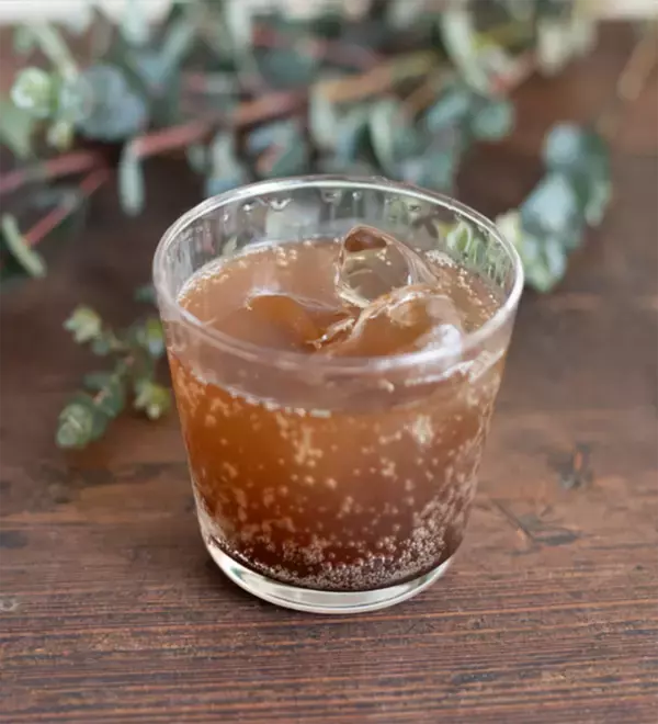 梅エキスの製造90年のエキス屋が作る　すっぱくなく、飲みやすい健康飲料「梅エキスドリンク」が誕生。お客様からの声をいただき、飲みやすい梅エキスドリンクをつくりました。