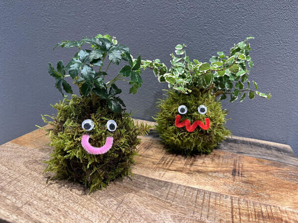 アトレ新浦安、日本の夏をテーマにしたサマープロモーションを7/1～8/31に開催　たこ焼き食品サンプル作りや夏の自由研究WEEKを実施