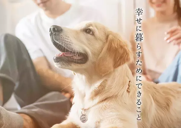 ペットに与えるときの手軽さを追求した乳酸菌サプリメント「4N96 CUBE」の販売プロジェクトをCAMPFIREにて実施