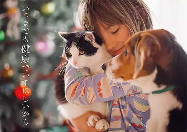 ペットに与えるときの手軽さを追求した乳酸菌サプリメント「4N96 CUBE」の販売プロジェクトをCAMPFIREにて実施