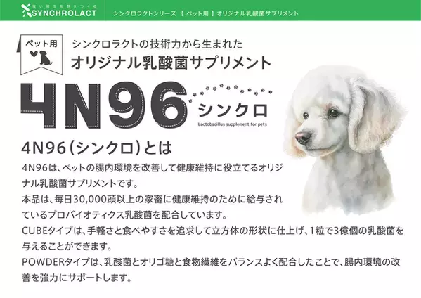 ペットに与えるときの手軽さを追求した乳酸菌サプリメント「4N96 CUBE」の販売プロジェクトをCAMPFIREにて実施