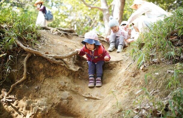 窓ぎわのトットちゃんで世界が注目、個性を伸ばすシュタイナー教育　都内でトモエ学園と同じ教育法のこども園、7月オンライン説明会開催