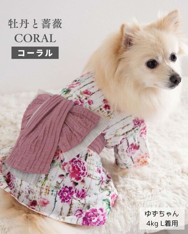 愛犬・愛猫とおそろいの新作浴衣で夏の思い出をつくろう！「ONEKOSAMA OINUSAMA」の6月発売新作浴衣、クーポン配布！