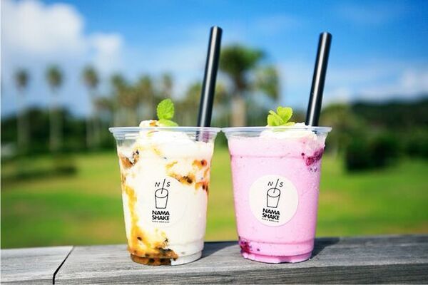 都心から約90分！千葉県のリゾート地『AWA(安房)』のアクティビティや絶品グルメなど、この夏の楽しみ方をご紹介！