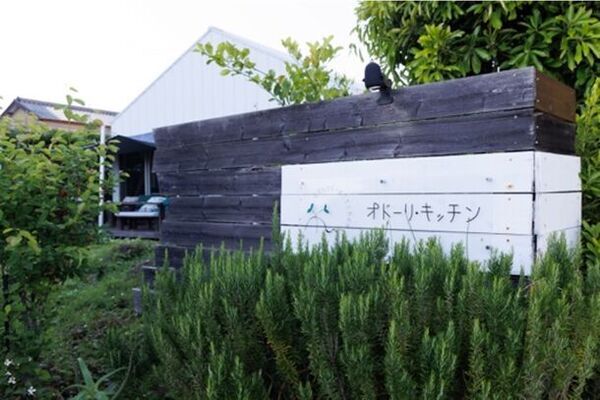 都心から約90分！千葉県のリゾート地『AWA(安房)』のアクティビティや絶品グルメなど、この夏の楽しみ方をご紹介！