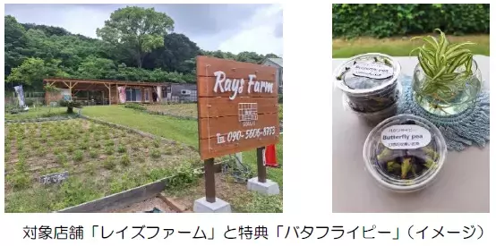 ― 第１０回 近鉄エリアキャンペーン ―「志摩へおいなーい！」を実施します！