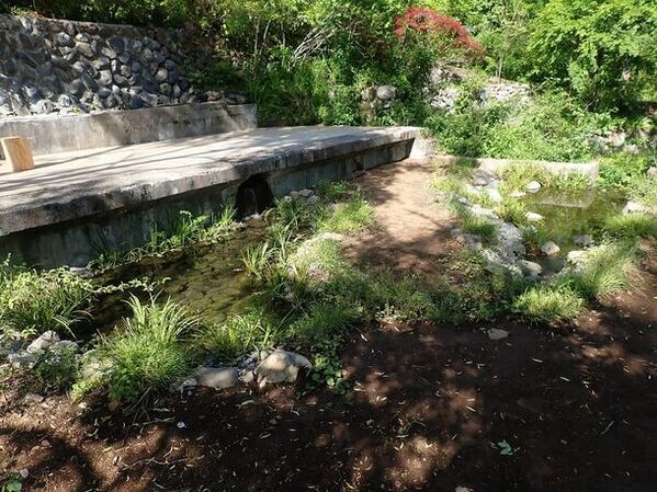 NPO birth、奥多摩に新しく開業したホテル・レストラン・サウナの敷地にビオトープを創出