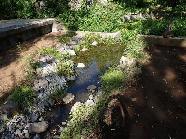 NPO birth、奥多摩に新しく開業したホテル・レストラン・サウナの敷地にビオトープを創出