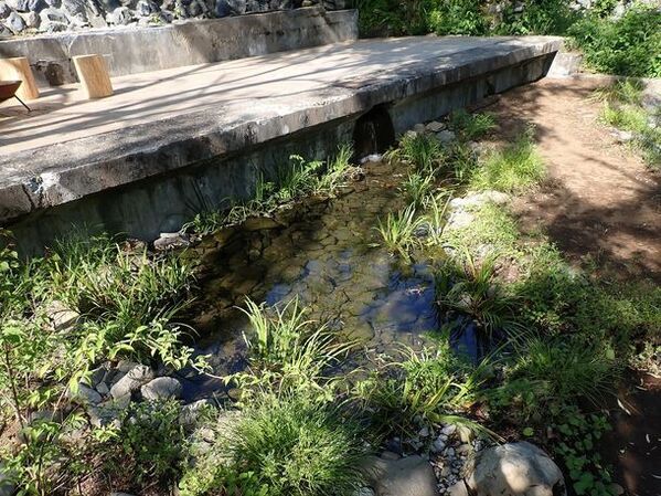 NPO birth、奥多摩に新しく開業したホテル・レストラン・サウナの敷地にビオトープを創出