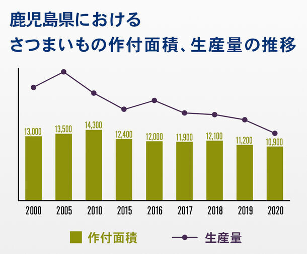 鹿児島の酒造メーカー監修！「メガジャンボ一升瓶抱き枕」をMakuakeで販売開始