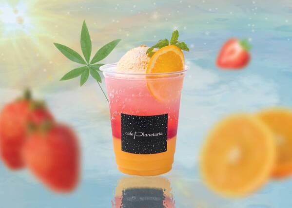 暑い日も涼しいプラネタリウムで星空と花火を楽しむ『花火ウェルカムドーム』7月13日(土)より開催！