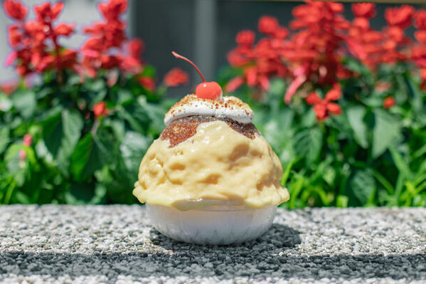 サクッ、フワッ、とろ～り！高知のご当地プリン専門店「高知プリン亭」からプリン・ア・ラ・モードをイメージした“超豪華”プリン・ア・ラ・氷が新登場！