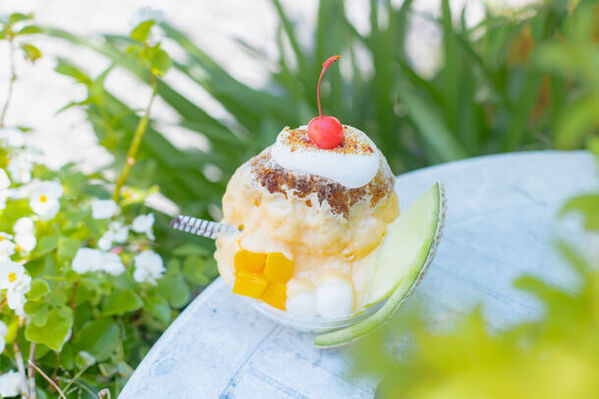 サクッ、フワッ、とろ～り！高知のご当地プリン専門店「高知プリン亭」からプリン・ア・ラ・モードをイメージした“超豪華”プリン・ア・ラ・氷が新登場！