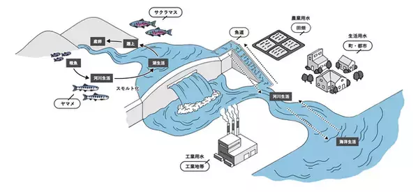 Hydro Flask(R)のカスタムボトルでヤマメの稚魚 約1万匹の放流を支援　今年度のプロジェクトパートナー募集開始