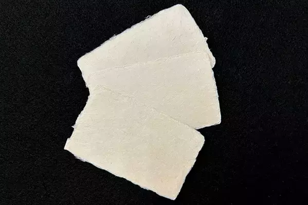 愛知県下最大級の教室数を誇る書道教室「田中書道学院」「越前和紙」を使用した受講者向けのイベントを開催