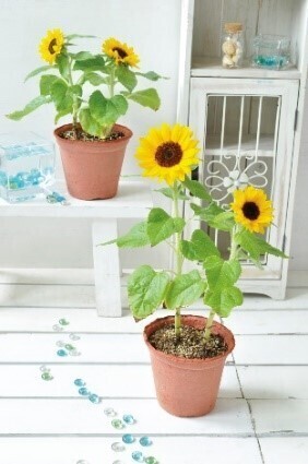 地域の子供たちが旬なアートと出逢える場所代官山アドレス・ディセ キッズアートイベント