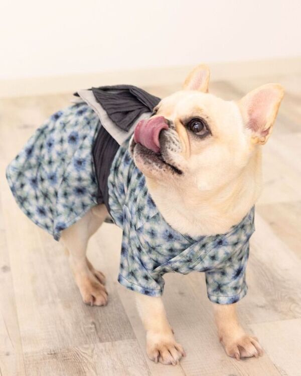 “おそろい浴衣”を手掛ける「EMU-咲む-」が7月7日「ゆかたの日」を盛り上げるプレゼント企画を実施　家族全員で着用ができる浴衣で夏の思い出をつくろう！