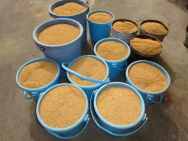 農業廃棄物(もみ殻)利用で、水田メタン発生抑制、稲の高温対策が可能に