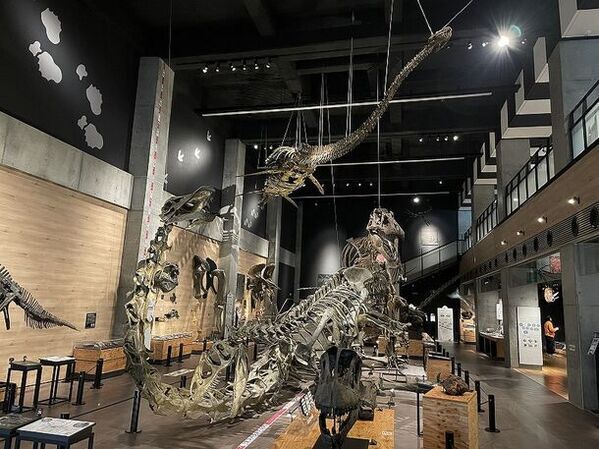 夏休みは1億年前の化石採集を！100％見つかる化石採集体験が開始3ヶ月で来場者数3,000名を達成！熊本・天草の離島“恐竜の島”御所浦にて