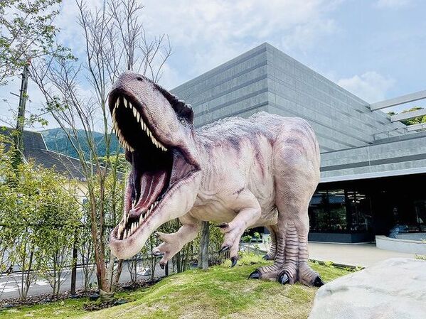 夏休みは1億年前の化石採集を！100％見つかる化石採集体験が開始3ヶ月で来場者数3,000名を達成！熊本・天草の離島“恐竜の島”御所浦にて