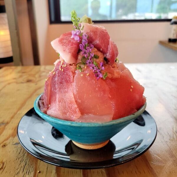 漁港の駅 TOTOCO小田原、来場者数500万人を突破！感謝を込めて7/6～7/15に『大大大マグロ祭り』開催